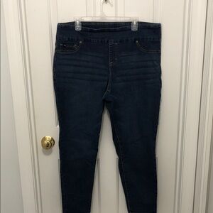 Jordache Dark Blue Stretch Jeggings